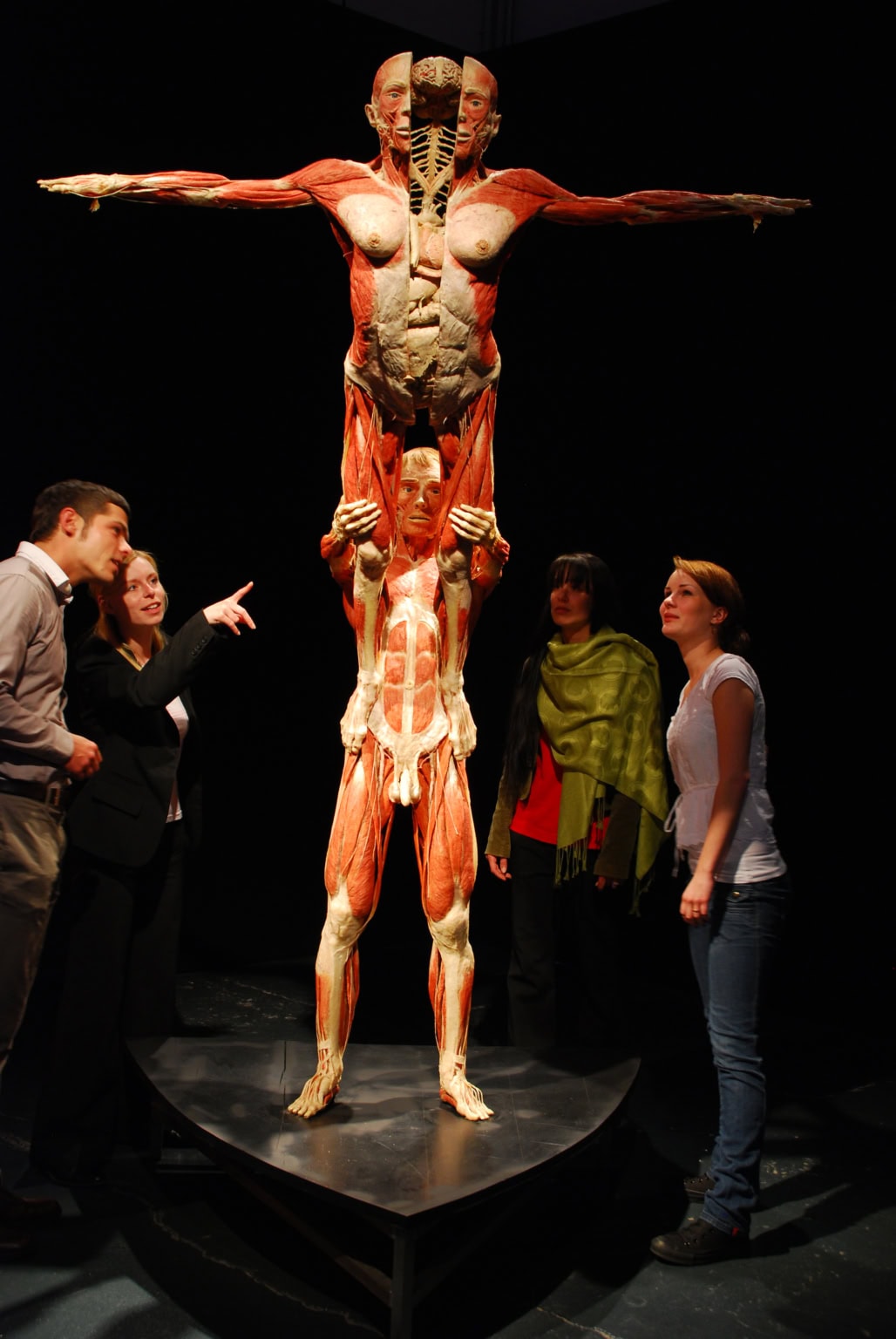 k-rperwelten-anatomieausstellung-bis-22-03-2026-in-wien
