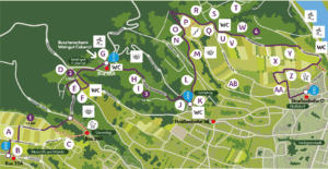Weinspaziergang Neustift bis Nußdorf