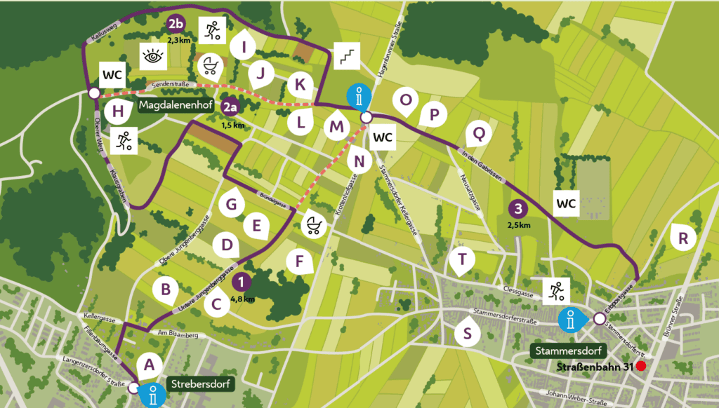 Weinspaziergang Strebersdorf bis Stammersdorf