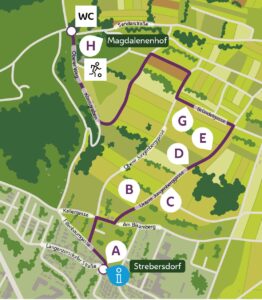 Weinspaziergang - Route 1: Strebersdorf – Magdalenenhof, 4,8 km
