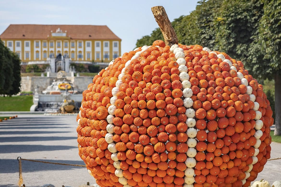 Kürbisskulpturen auf Schloss Hof